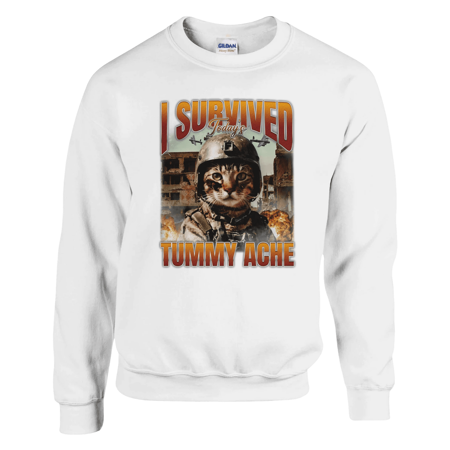 'I Survived Todays Tummy ache' Crewneck Sweatshirt | Gildan® 18000 Meme T-Shirt | StalBea